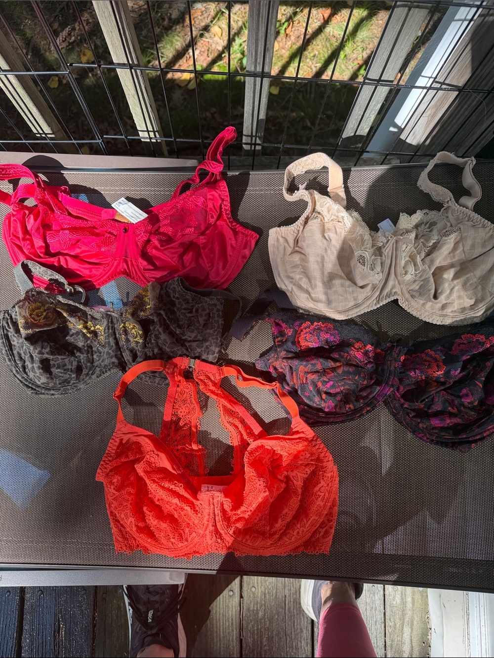 5 bras - 32F - Bravissimo, Primadonna, Louisa Bracq